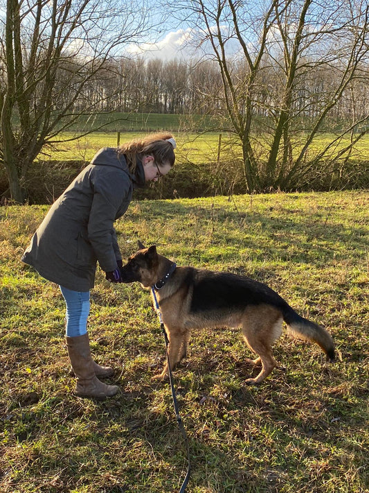 Clicker training voor beginners